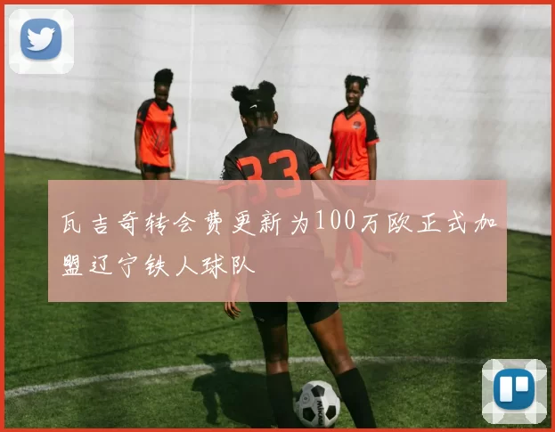 瓦吉奇转会费更新为100万欧正式加盟辽宁铁人球队