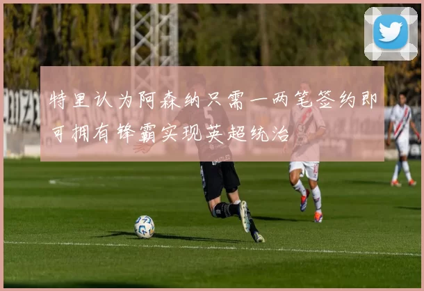 特里认为阿森纳只需一两笔签约即可拥有锋霸实现英超统治